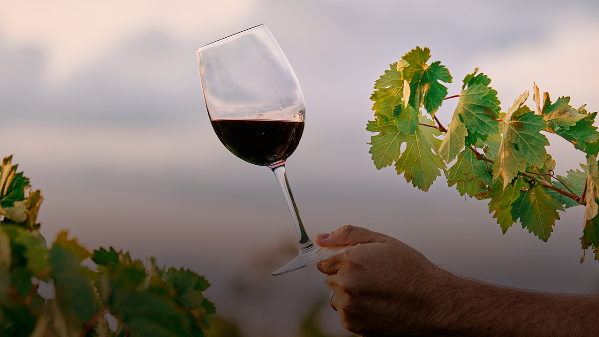 mejores-vinos-tintos-para-acompanar-tus-comidas-favoritas