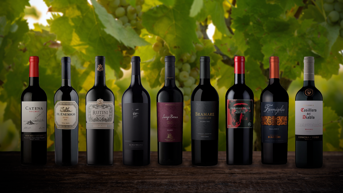 los-9-mejores-vinos-malbec-para-cada-ocasion