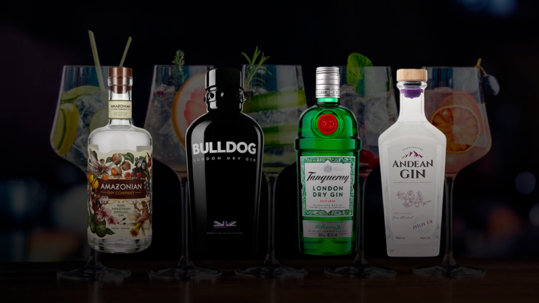 Las mejores marcas de Gin y sus características: Todo lo que debes saber