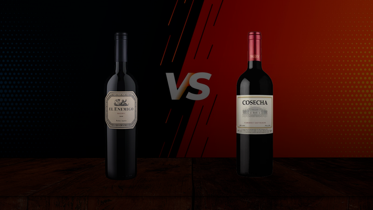 que-vino-es-mejor-malbec-o-cabernet